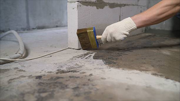 SJ Waterproofing Pros Waterproofing coverage map for Roselle Park, NJ and surrounding area